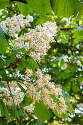 Similar image 5464389