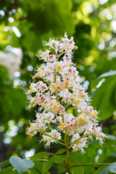 Similar image 5464390