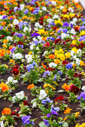 Similar image 5464391