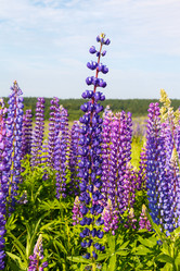 Similar image 5464418