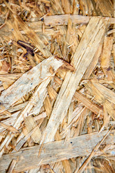 Similar image 5464539