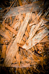 Similar image 5464546