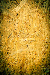 Similar image 5464548