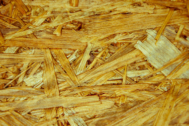 Similar image 5464554