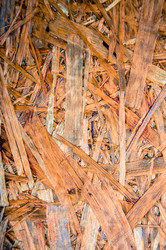 Similar image 5464555