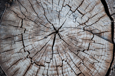 Similar image 5464581