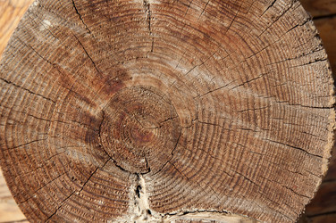 Similar image 5464582