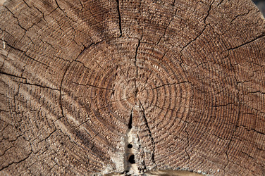 Similar image 5464584