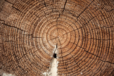 Similar image 5464585