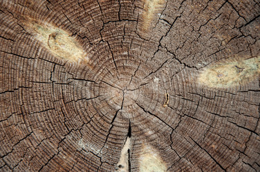 Similar image 5464586