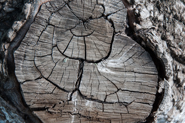 Similar image 5464587