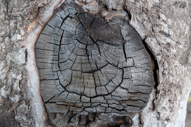 Similar image 5464588