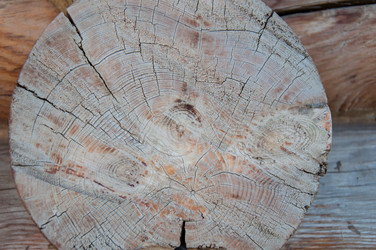 Similar image 5464589