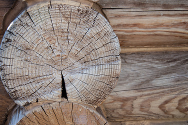 Similar image 5464599