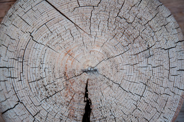 Similar image 5464601