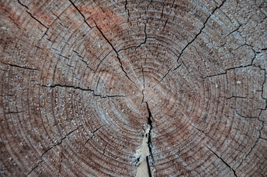 Similar image 5464603