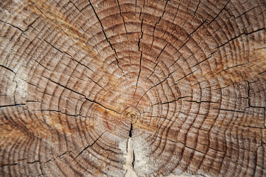 Similar image 5464604