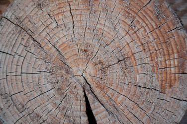 Similar image 5464616