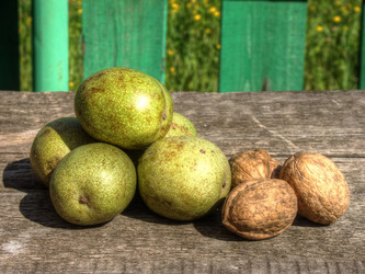 Similar image 5464746