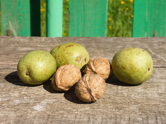 Similar image 5464770