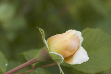 Similar image 5465038