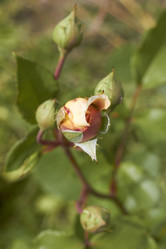 Similar image 5465041