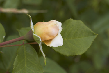 Similar image 5465047