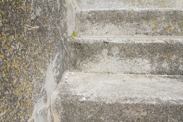 Similar image 5465052