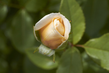 Similar image 5465057