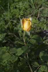 Similar image 5465058