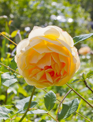 Similar image 5465060