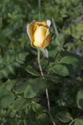 Similar image 5465075