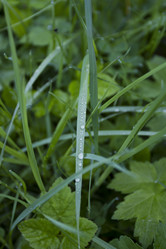 Similar image 5465081