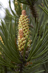 Similar image 5465120