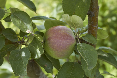 Similar image 5465122