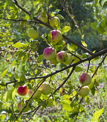 Similar image 5465123