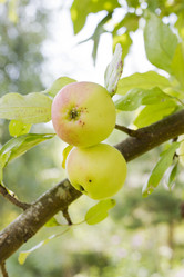 Similar image 5465124