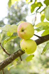 Similar image 5465125