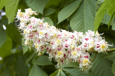 Similar image 5465133