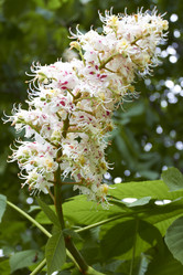 Similar image 5465134