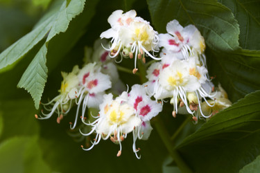 Similar image 5465135