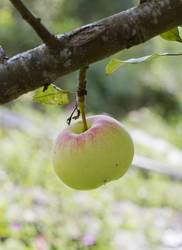 Similar image 5465136