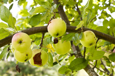 Similar image 5465137