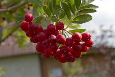 Similar image 5465138