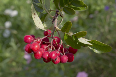 Similar image 5465146