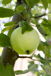 Similar image 5465148