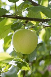 Similar image 5465149