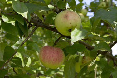 Similar image 5465151