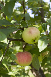 Similar image 5465153