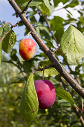 Similar image 5465155